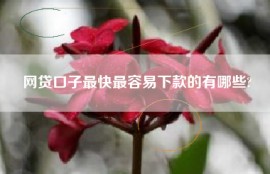 网贷口子最快最容易下款的有哪些?