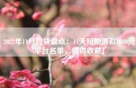 2022年11月网贷盘点：14天短期借款1000元平台名单，值得收藏！