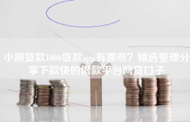 小额贷款1000贷款app有哪些？精选整理分享下款快的借款平台网贷口子