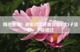 精选整理！被拒百次还能贷款的口子贷款，不容错过