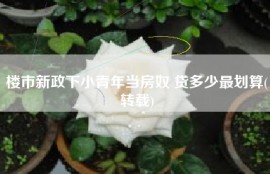 楼市新政下小青年当房奴 贷多少最划算(转载)