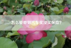 怎么能查到汽车买没买保险？