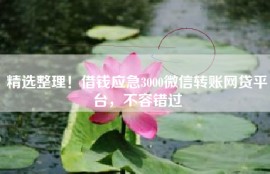 精选整理！借钱应急3000微信转账网贷平台，不容错过