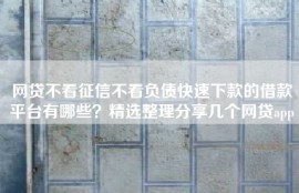 网贷不看征信不看负债快速下款的借款平台有哪些？精选整理分享几个网贷app