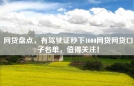 网贷盘点，有驾驶证秒下1000网贷网贷口子名单，值得关注！