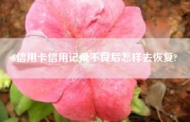 信用卡信用记录不良后怎样去恢复?