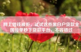 网上借钱被拒，试试这些黑白户贷款全国接单秒下贷款平台，不容错过