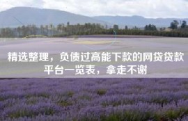 精选整理，负债过高能下款的网贷贷款平台一览表，拿走不谢