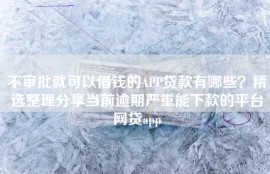 不审批就可以借钱的APP贷款有哪些？精选整理分享当前逾期严重能下款的平台网贷app