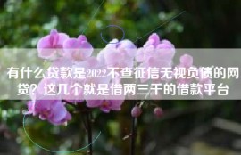 有什么贷款是2022不查征信无视负债的网贷？这几个就是借两三千的借款平台