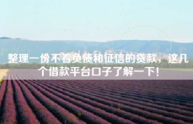 整理一份不看负债和征信的贷款，这几个借款平台口子了解一下！