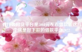 有什么网贷平台是5000元左右借款？这几个就是好下款的借款平台2022