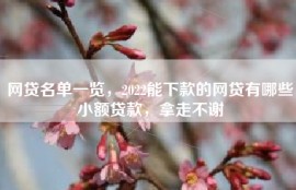 网贷名单一览，2022能下款的网贷有哪些小额贷款，拿走不谢