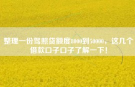 整理一份驾照贷额度8000到50000，这几个借款口子口子了解一下！