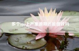 多个app上严重逾期还能借钱吗
