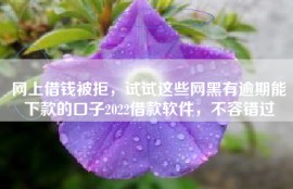 网上借钱被拒，试试这些网黑有逾期能下款的口子2022借款软件，不容错过