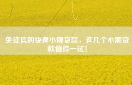 免征信的快速小额贷款，这几个小额贷款值得一试！