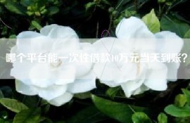 哪个平台能一次性借款10万元当天到账？