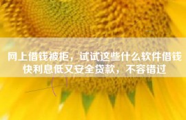 网上借钱被拒，试试这些什么软件借钱快利息低又安全贷款，不容错过