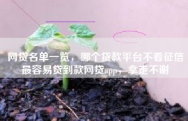 网贷名单一览，哪个贷款平台不看征信最容易贷到款网贷app，拿走不谢