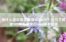 有什么贷款是急需借钱3000元？这几个就是2022年无视黑白100%秒下网贷