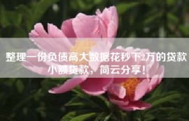 整理一份负债高大数据花秒下2万的贷款小额贷款，简云分享！