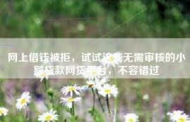 网上借钱被拒，试试这些无需审核的小额贷款网贷平台，不容错过
