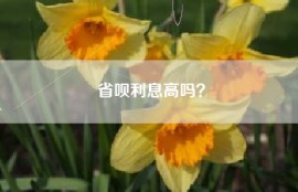 省呗利息高吗？