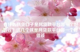 有什么网贷口子是网贷款平台哪一个好借钱？这几个就是网贷款平台哪一个好借钱