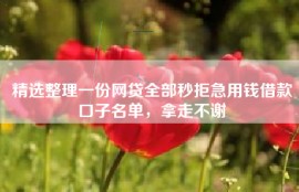 精选整理一份网贷全部秒拒急用钱借款口子名单，拿走不谢