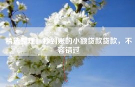 精选整理！秒到账的小额贷款贷款，不容错过