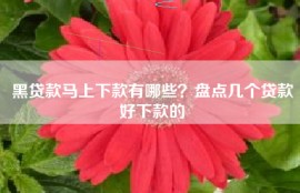 黑贷款马上下款有哪些？盘点几个贷款好下款的
