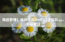 精选整理！强制下款3000的口子贷款app，不容错过