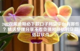 2022双黑逾期必下款口子网贷平台有哪些？精选整理分享不看负债和征信的贷款借款软件