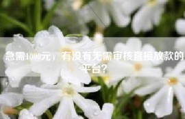 急需1000元，有没有无需审核直接放款的平台？
