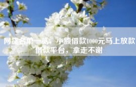 网贷名单一览，小额借款1000元马上放款借款平台，拿走不谢