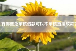 有哪些免审核借款可以不审核直接放款？