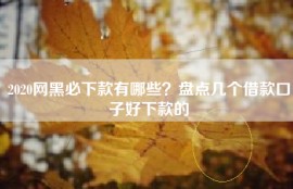 2020网黑必下款有哪些？盘点几个借款口子好下款的