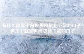 有什么借款平台是黑网贷能下款的口子？这几个就是黑网贷能下款的口子