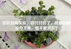 贷款按揭买房，首付付好了，但是按揭没办下来，能不能退款？