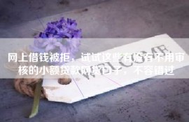 网上借钱被拒，试试这些有没有不用审核的小额贷款网贷口子，不容错过