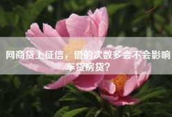 网商贷上征信，借的次数多会不会影响车贷房贷？