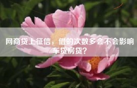 网商贷上征信，借的次数多会不会影响车贷房贷？