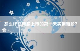 怎么样在新股上市的第一天买到新股？