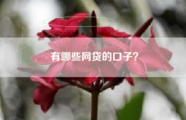 有哪些网贷的口子？