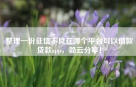 整理一份征信不良在哪个平台可以借款贷款app，简云分享！