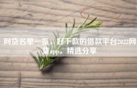 网贷名单一览，好下款的借款平台2022网贷app，精选分享