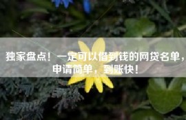 独家盘点！一定可以借到钱的网贷名单，申请简单，到账快！