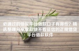 必通过的借款平台借款口子有哪些？精选整理分享放款快不看征信的正规借贷平台借款软件