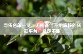 网贷名单一览，无需征信不用审核的贷款平台，拿走不谢